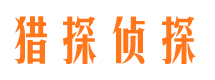 峰峰市调查公司